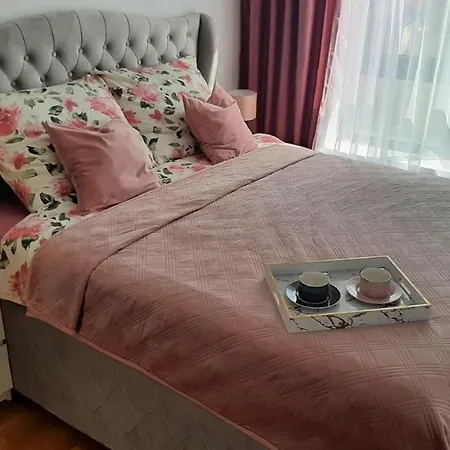 Reina * 소코 반자